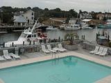 photograph of Shem Creek Harbor and Pool 